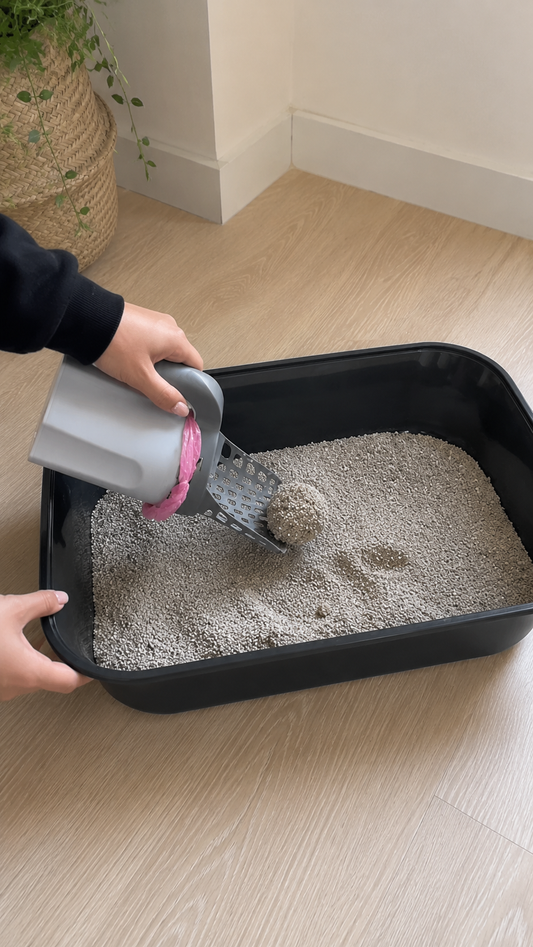 La pelle pensée pour les catmoms en appartement